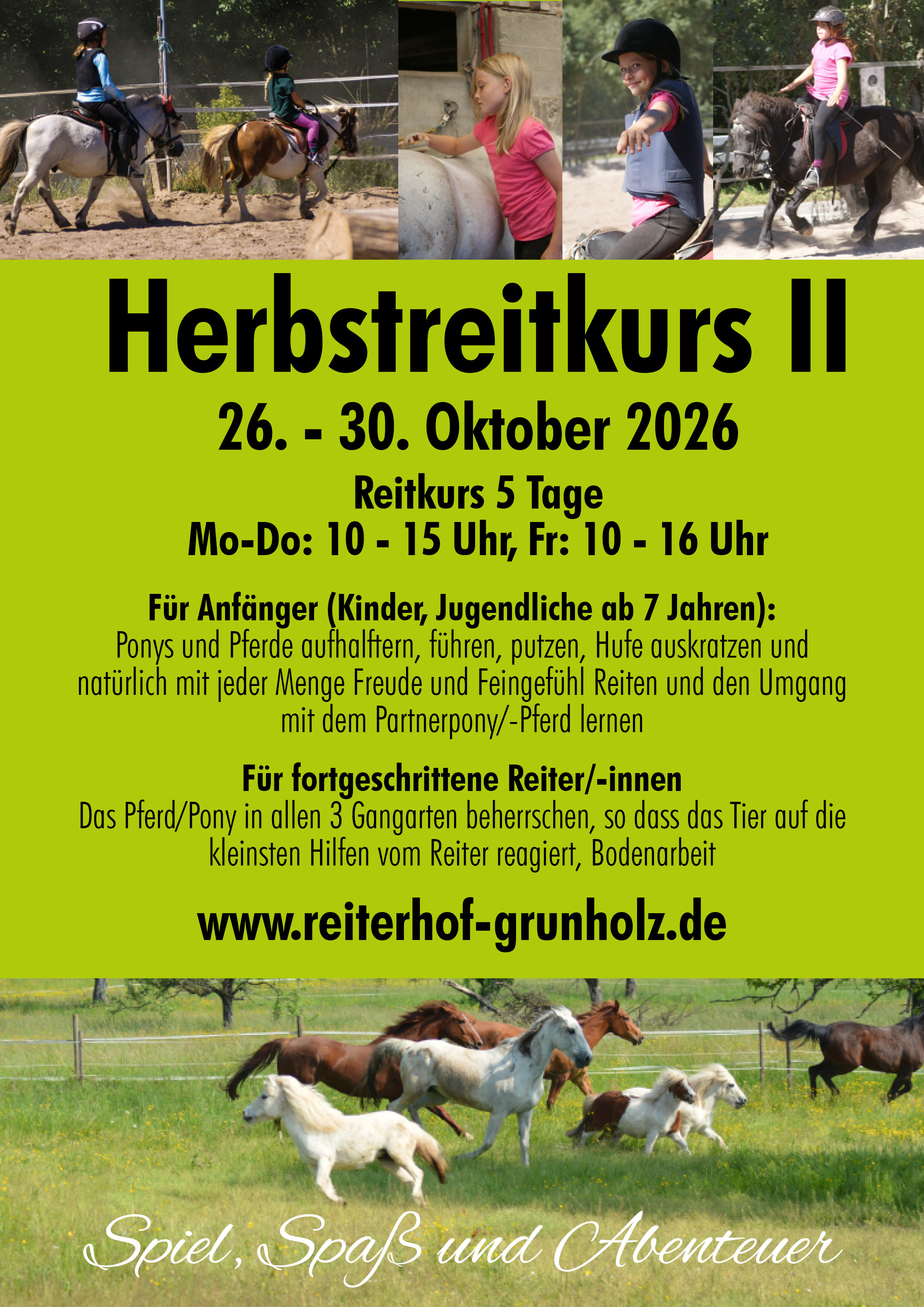 Herbstreitkurs 2026