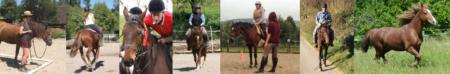 Reiten 50+